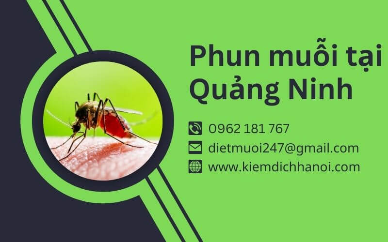 Dịch Vụ Phun Muỗi Tại Quảng Ninh Uy Tín, Hiệu Quả, Giá Rẻ