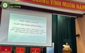 Cong ty diet moi tan goc tai Ha Noi