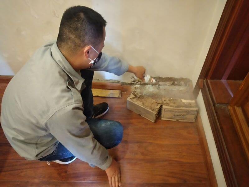 Dịch vụ diệt mối tại Đắk Lắk tận gốc, uy tín, giá rẻ ha4 Dịch vụ diệt mối tại Đắk Lắk tận gốc, uy tín, giá rẻ ha3