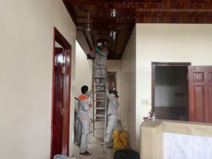 Dịch vụ diệt mối tại Ninh Thuận uy tín, bảo hành dài hạn ha5