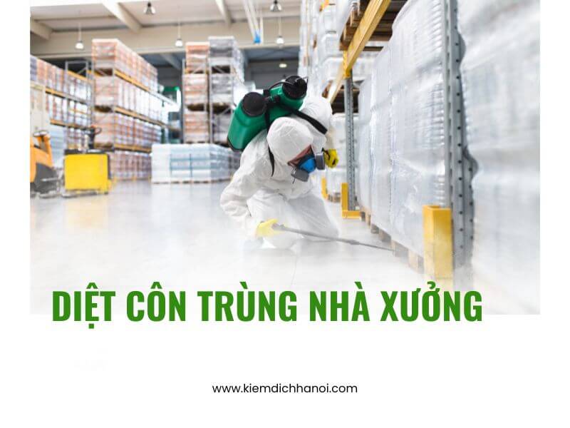 Dịch vụ diệt côn trùng nhà xưởng hiệu quả tận gốc ha1