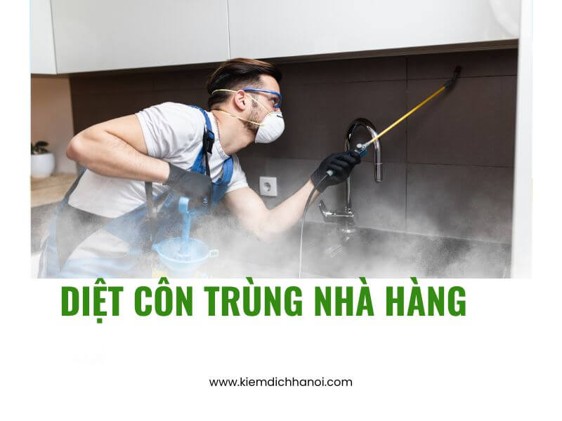 Dịch vụ diệt côn trùng cho nhà hàng an toàn hiệu quả tận gốc ha1