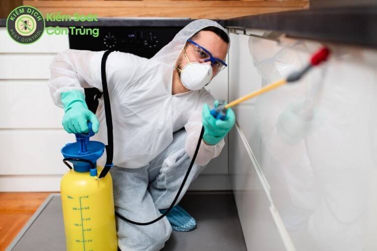 Dịch vụ diệt côn trùng cho nhà hàng an toàn hiệu quả tận gốc ha3 Dịch vụ diệt côn trùng cho nhà hàng an toàn hiệu quả tận gốc ha3