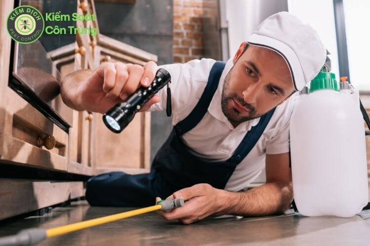 Dịch vụ diệt côn trùng cho nhà hàng an toàn hiệu quả tận gốc ha4 Dịch vụ diệt côn trùng cho nhà hàng an toàn hiệu quả tận gốc ha4