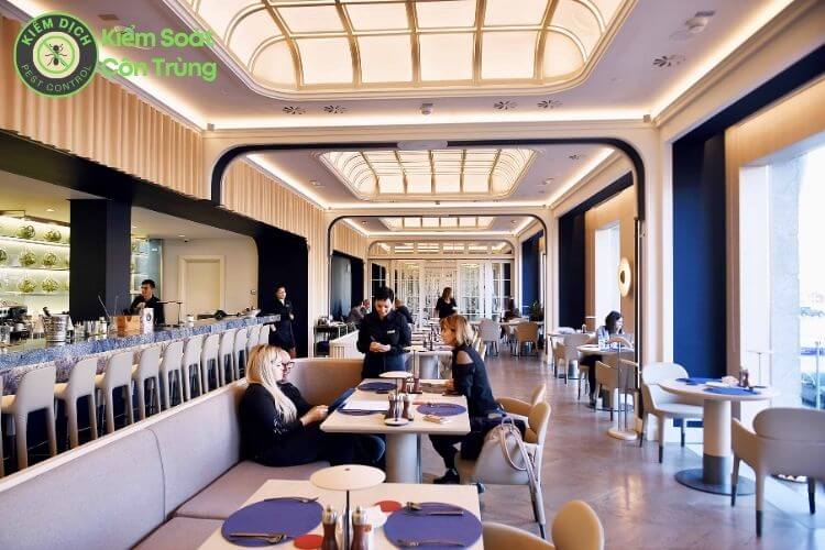 Dịch vụ diệt côn trùng cho nhà hàng an toàn hiệu quả tận gốc ha5 Dịch vụ diệt côn trùng cho nhà hàng an toàn hiệu quả tận gốc ha5