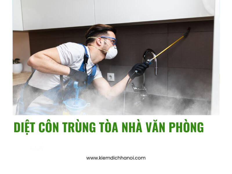 Dịch vụ diệt côn trùng tòa nhà, văn phòng hiệu quả tận gốc ha1
